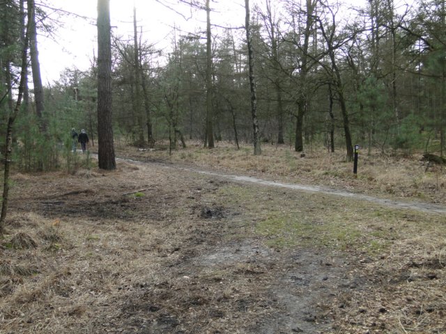 NWK 2012 016.jpg